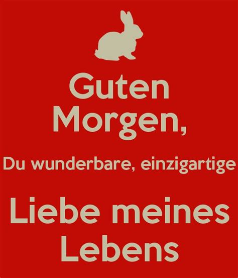 Guten Morgen mein geliebter Hase ich wünsche dir einen wunderschönen