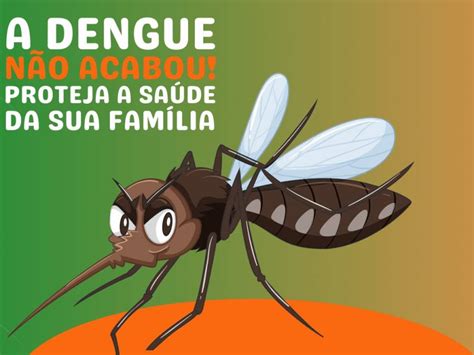 Dengue Avan A Em Ritmo Acelerado No Estado Do Rio De Janeiro Na