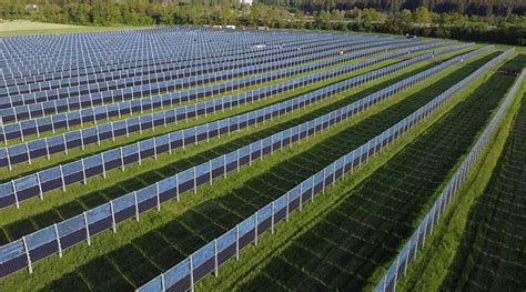 Vertikale Agri Pv Von Next Sun F R Doppelte Landnutzung