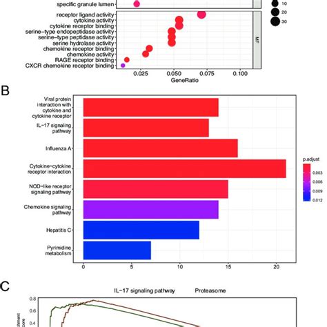 Functional And Pathway Enrichment Analysis Of Degs A Go Enrichment