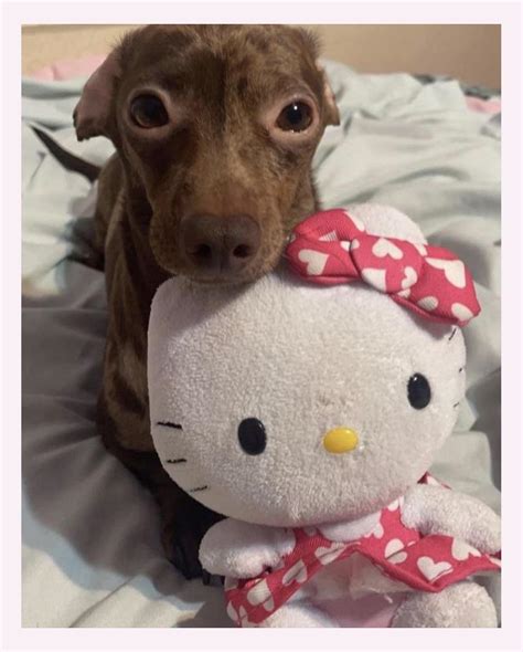 Nude Clubs Scrolller