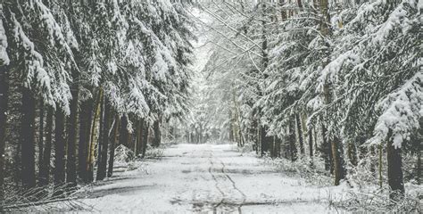 Czechia could see its first snowfall this weekend - Prague, Czech Republic