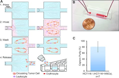 Microfluidic Device Design And Performance A Blood Sample Processing