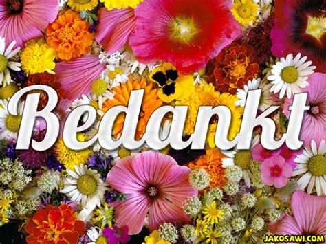 Jakosawi Gratis Wenskaarten E Cards Bedankt Bloemen