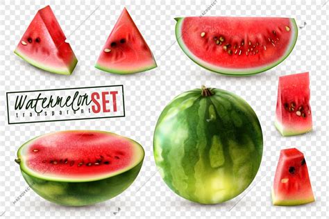 Realistic Watermelon Set With Whole Half Quarter Slices And Bite Size