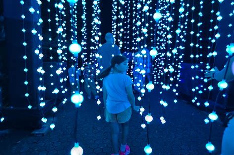 Lightscape Brisbane - Brisbane Kids