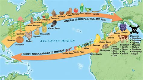 Columbian Exchange Diagram | Quizlet