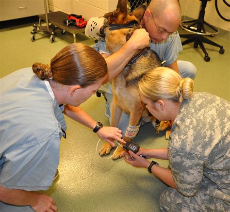 Animal care specialists learn critical skills in support of Veterinary