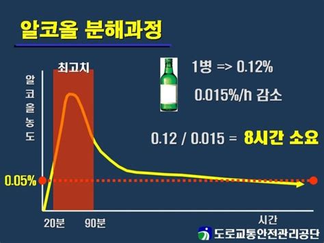 대구음주운전구제 알콜 분해과정과 혈중알콜농도 상승기 네이버 블로그