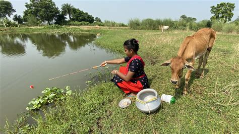 Fishing Video Hook Fishing Video In Village Pond Fishing In