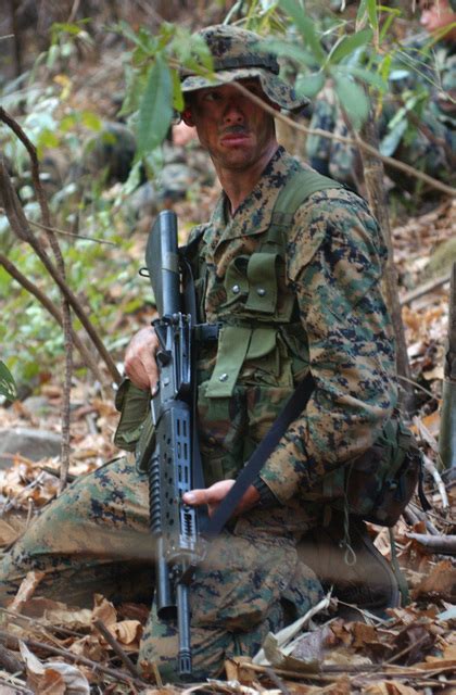 A Us Marine Corps Usmc Marine Lima Company L Co 3rd Battalion