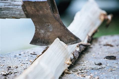 Getting Wood For Fire Sharp Axe Cutting Wood On A Block Stock Image