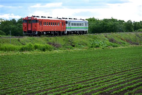 鉄道写真備忘録 釧網本線