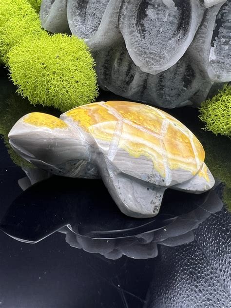 Bumble Bee Jasper Turtles