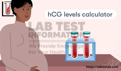 Beta Hcg Blood Test