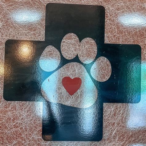 animal emergency & specialty knoxville 7