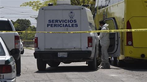 Hallan Restos De Osamenta Humana En Una Brecha Quintana Roo Hoy