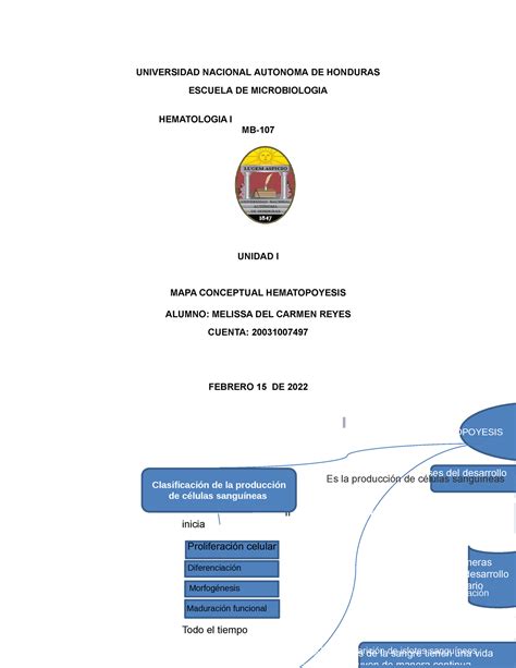 Mapa Conceptual Sobre La Hematopoyesis Universidad Nacional