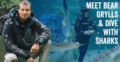 A Trip To England To Meet Bear Grylls And Dive With Sharks Prizeo