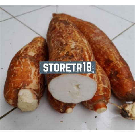 Jual Jual Singkong Racun Sapi Kuru Singkong Genderewo Fresh 1 Kg