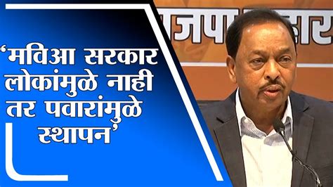 Narayan Rane महाविकास आघाडीचे सरकार लोकांमुळे नाही तर शरद पवारांमुळे स्थापन झालंय नारायण