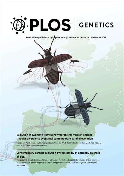 (PDF) Contemporary parallel evolution by reassembly of anciently ...