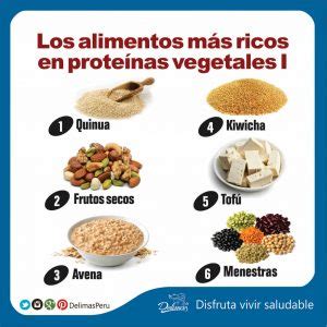 Alimentos más ricos en Proteína Vegetal Descubre cuáles son Blog