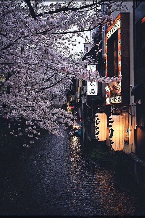 Japan Aesthetic Wallpaper : r/AestheticWallpapers