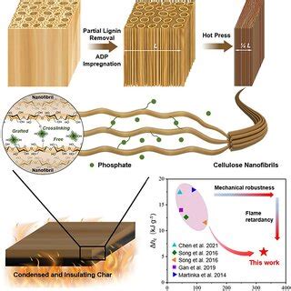 Schematic Illustration Of The Fabrication Structure And Performance