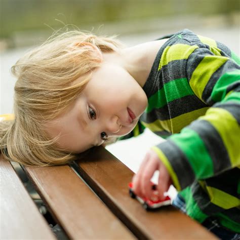 Toby And Sox: The Heartwarming Tale Of A Little Boy With Autism And A Dog In A Million 9