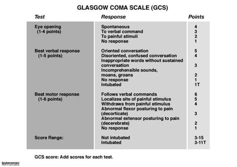 Glasgow Coma Scale Medictests 60 Off