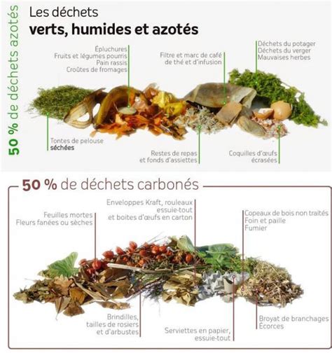 Compost 5 Règles Importantes Pour Bien Recycler Ses Déchets Organiques