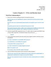 HIMT 201 Chapter 6 CYUs And Review Quiz Docx James Gilson HIMT 201