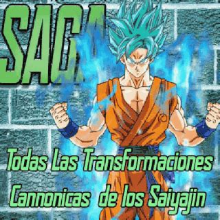 Todas Las Transformaciones Canonicas De Los Saiya Jin DRAGON BALL