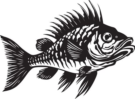 Logo Fish Skeleton Vector Images (over 1,300)