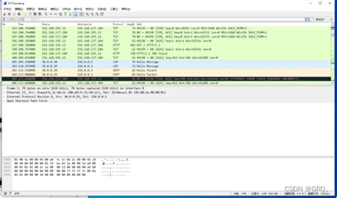 使用ENSP在MPLS VPN网络中获取HTTP报文 mpls报文抓包 CSDN博客