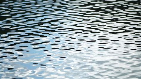 Sun Reflecting On Sparkling Sea Lake Water Surface Ocean At Sunset