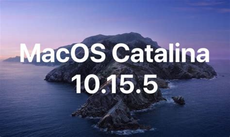 MacOS Catalina 10.15.5 Update & Security Updates for Mojave & High ...