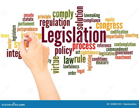 Legislative Process Outline Diagram Explanation Scheme Vector