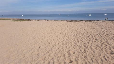 Temp Te Nelson Un Dauphin Chou Sur Une Plage De Noirmoutier