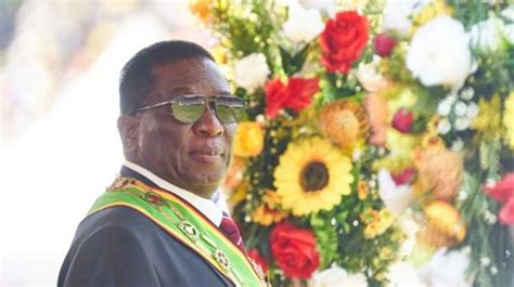 Outrage as Zimbabwe President names son in cabinet - Adomonline.com