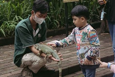 Pihak Kebun Binatang Bandung Minta Pemkot Bandung Tunggu Putusan