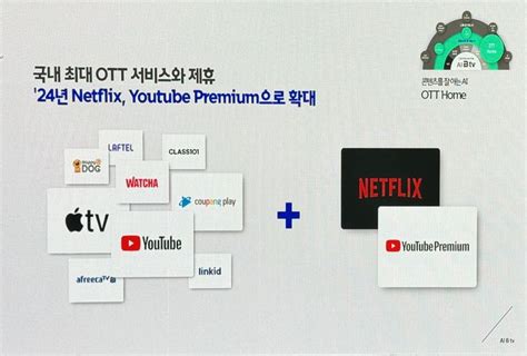 Sk브로드밴드 Btv에서도 넷플릭스 볼 수 있다 네이트 뉴스