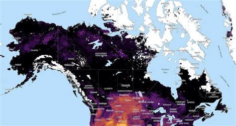 Canada Fires Thousands Fleeing 125 Wildfires Evacuation Orders As