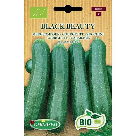 WEYE Germisem Bio Graines Courgette BLACK BEAUTY 547 Cdiscount Jardin