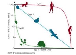 Ecology Diagram Quizlet