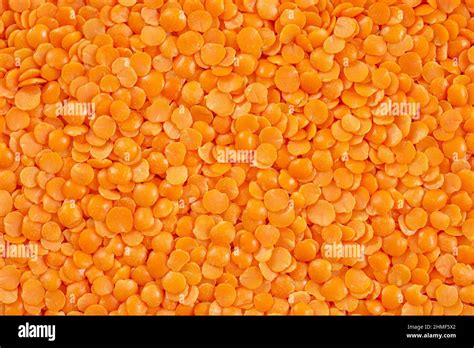 Closeup Of Red Split Lentil Also Known As Egyptian Lentil Or Masoor Dal