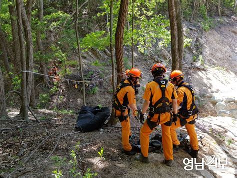 대구동부소방서 봄철 산악사고 대비 산악구조훈련 영남일보 사람과 지역의 가치를 생각합니다