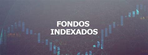 Fondos Indexados Guía de inversión para principiantes