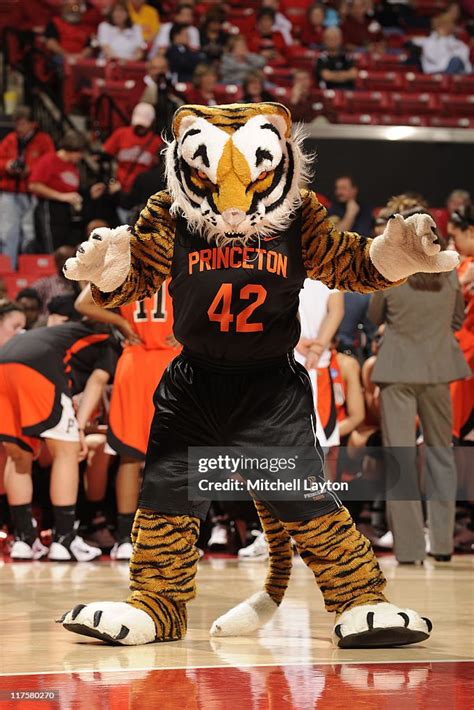 The Princeton Tigers mascot looks on during during the First Round of